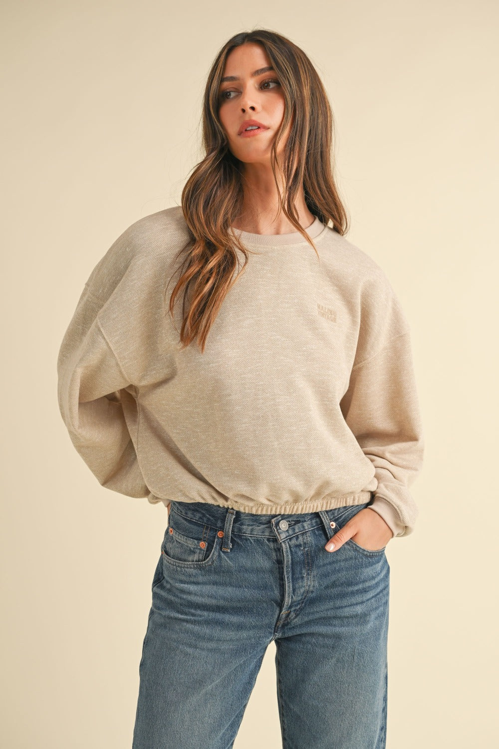 Beige round neck letter embroidery crop sweatshirt front view